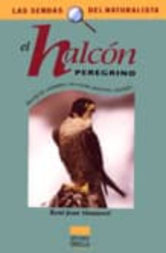 El Halcon Peregrino