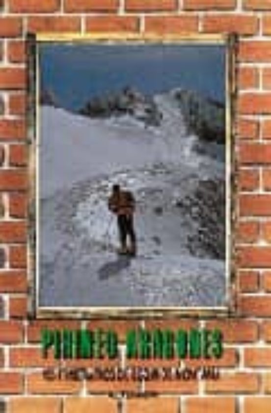 Ciento Cinco Itinerarios De Esqui De Montaña Pirineo Aragones