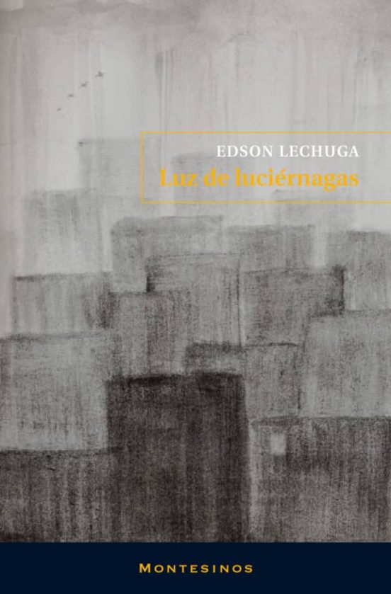 Luz De Luciernaga