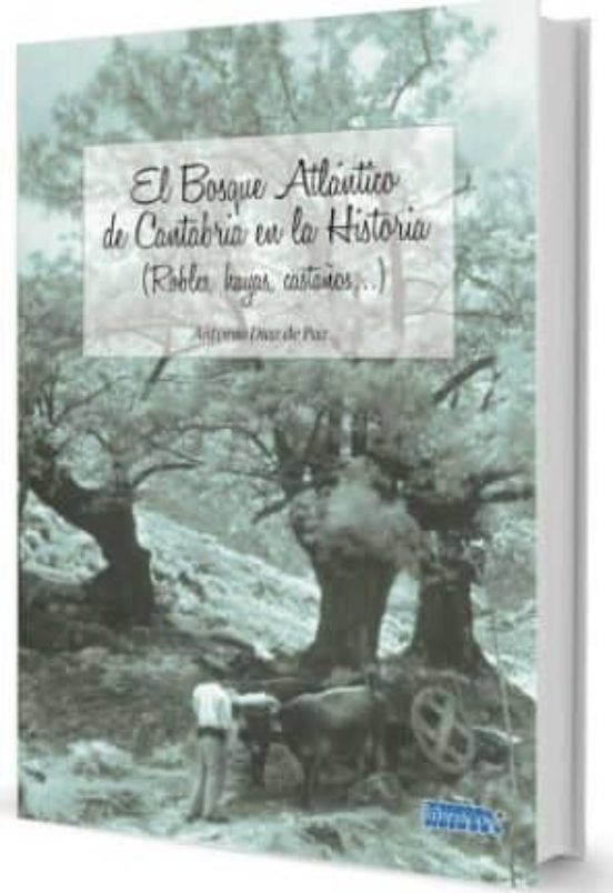 Bosque Atlantico De Cantabria En La Historia