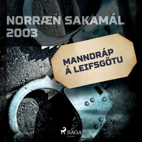 Manndráp Á Leifsgötu