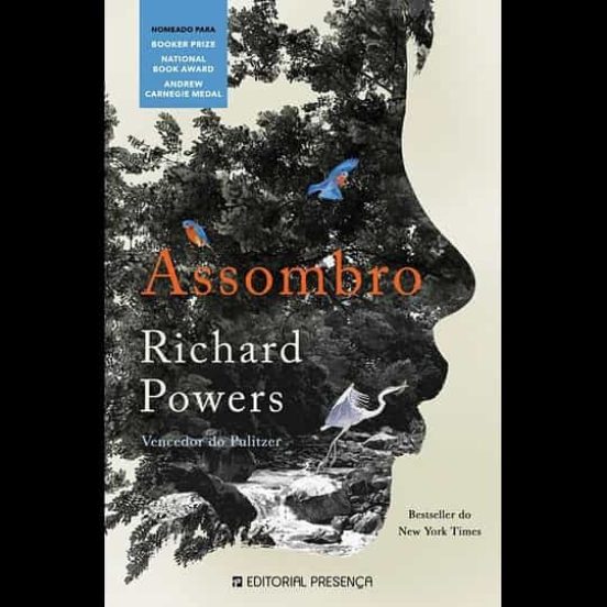 Assombro