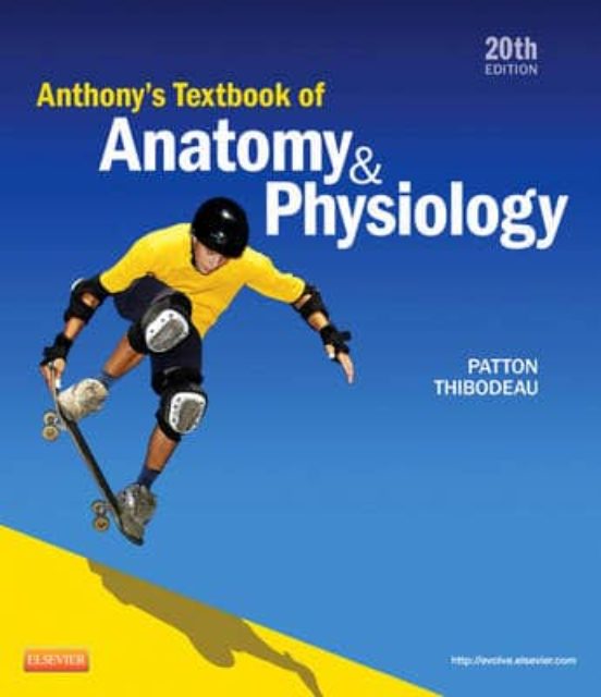 Anthony S Textbook Of Anatomy And Physiology