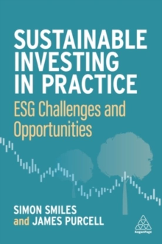 Sustainable Investing In Practice