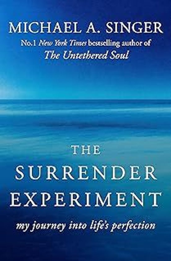 The Surrender Experiment: My Journey Into Life S Perfection