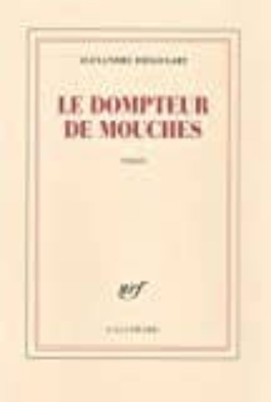 Le Dompteur De Mouches