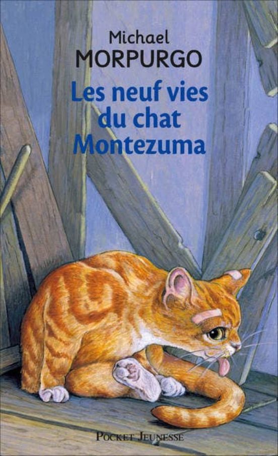 Les Neuf Vies Du Chat Montezuma