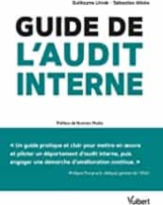 Guide De L Audit Interne : Défis Et Enjeux Théorie Et Pratique