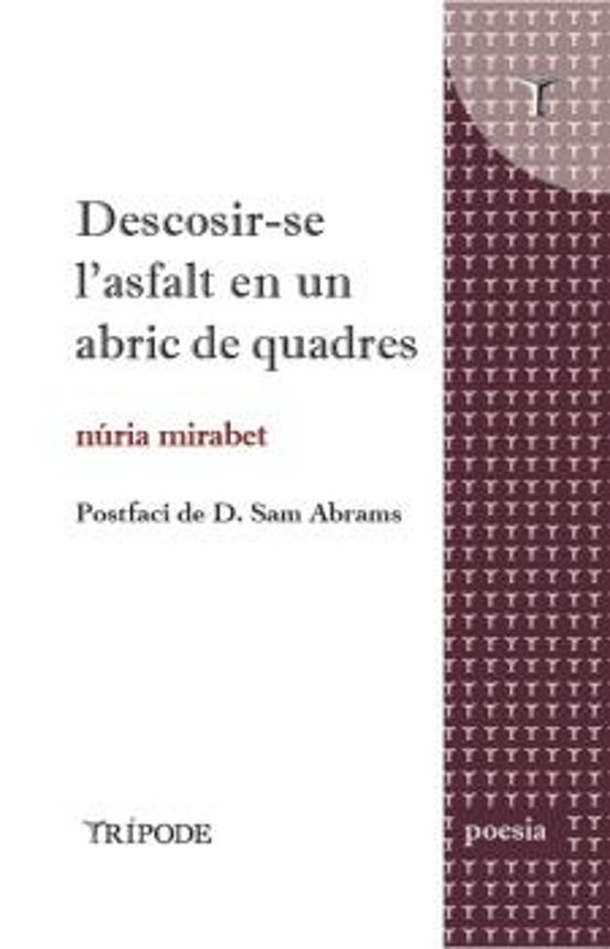 Descosir-se L'asfalt En Un Abric De Quadres