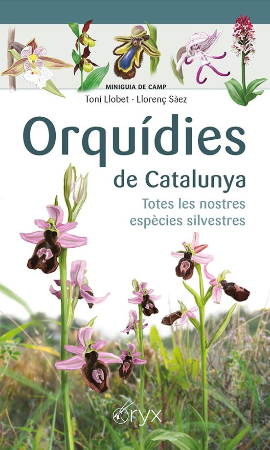 Orquidies De Catalunya: Totes Les Nostres Espècies Silvestres