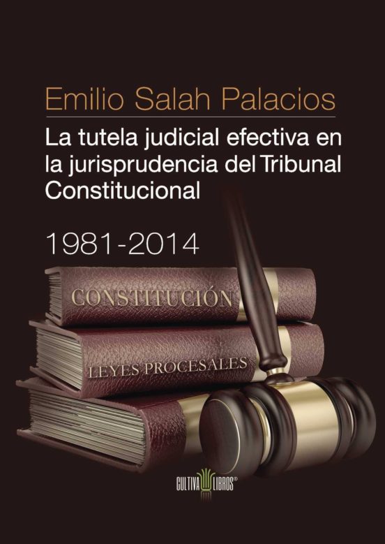 La Tutela Judicial Efectiva En La Jurisprudencia Del Tribunal Con Stit