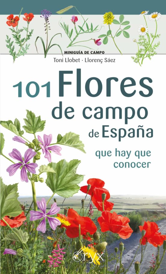101 Flores De Campo De España