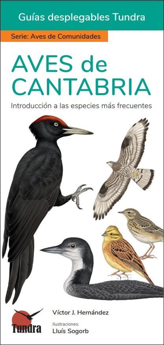 Aves De Cantabria - Guias Desplegables Tundra