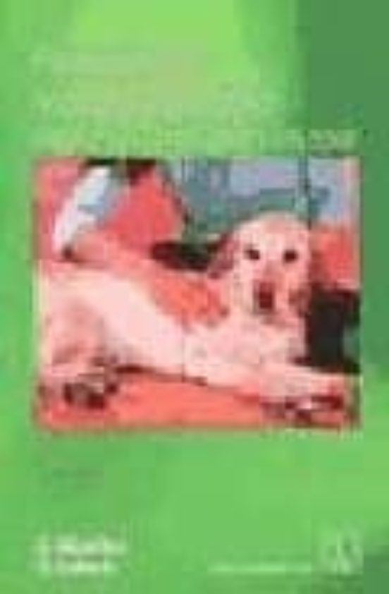 Fisioterapia: Masaje Del Perro. Mejora De La Movilidad Y Del Dolo R