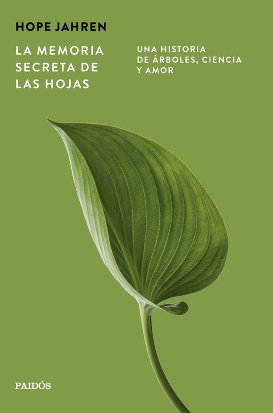 La Memoria Secreta De Las Hojas