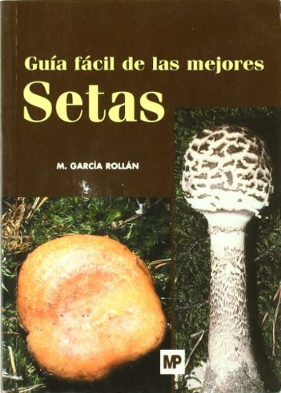 Guía fácil de las mejores setas