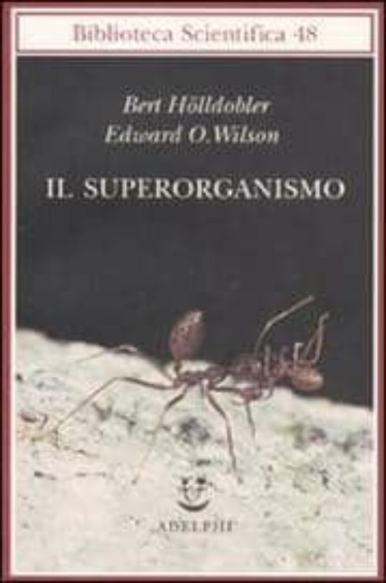 Il Superorganismo