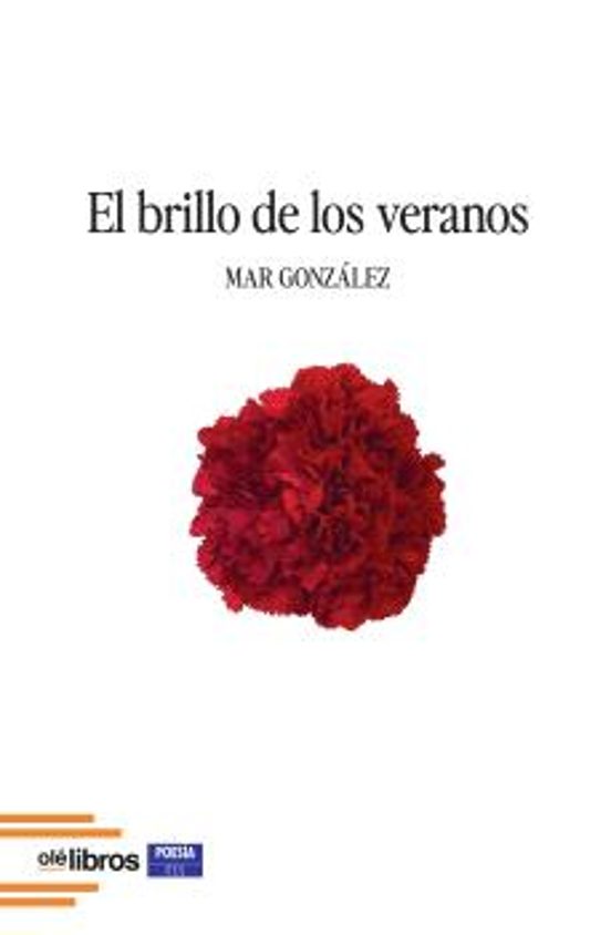 El brillo de los veranos