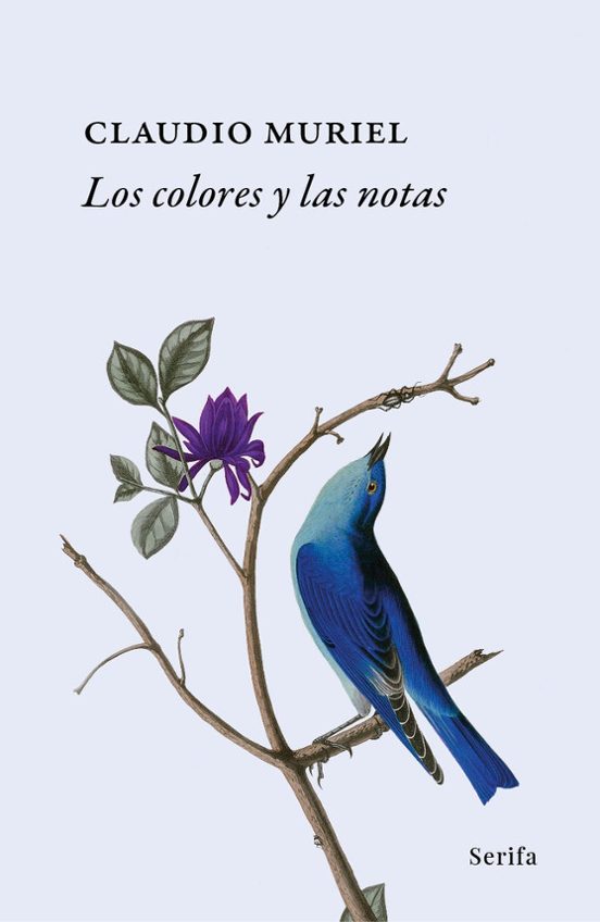 Los colores y las notas
