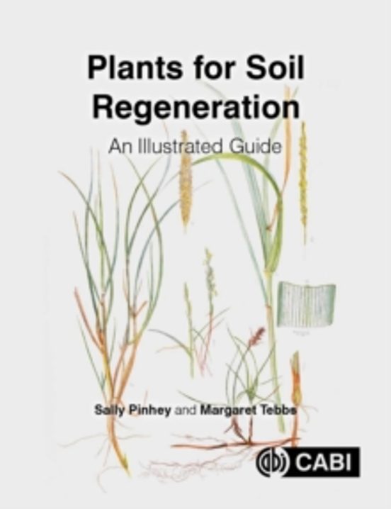 Plants For Soil Regeneration