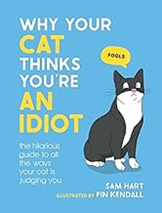 Why Your Cat Thinks You Re An Idiot: The Hilarious Guide To All The Wa