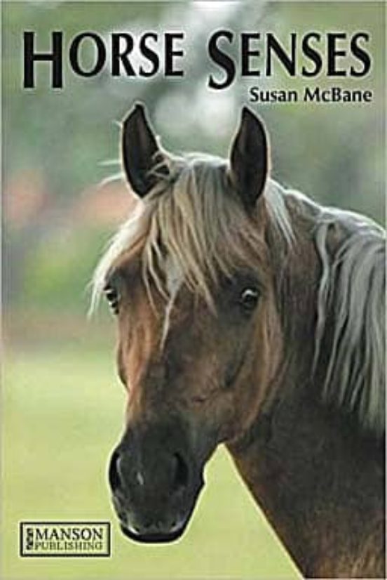 Horse Senses