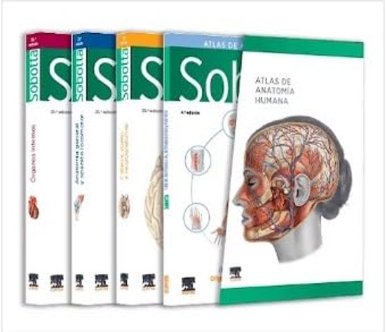 Lote: Sobotta. Atlas De Anatomia Humana 3 Vol. + Tablas