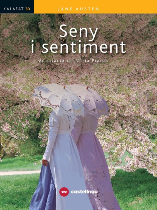 Seny I Sentiment
