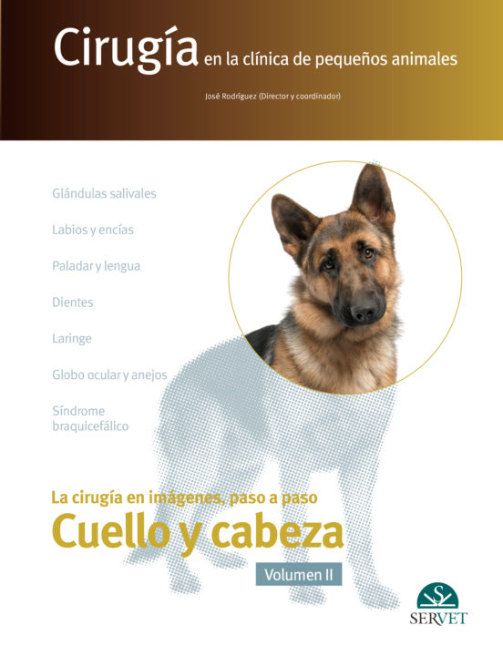 Cirugía En La Clínica De Pequeños Animales. Cabeza Y Cuello. Volu Men