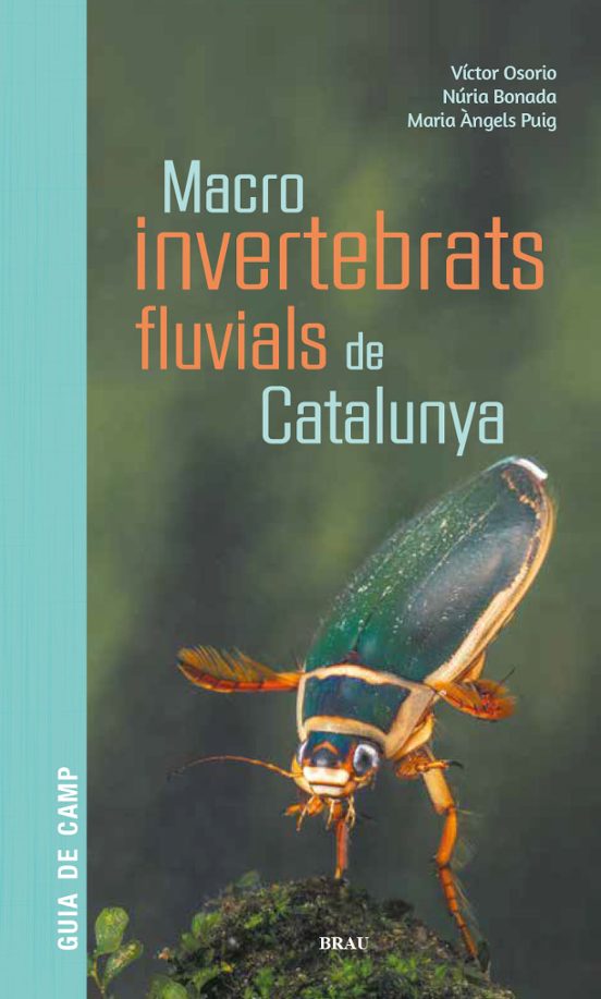 Macroinvertebrats Fluvials De Catalunya