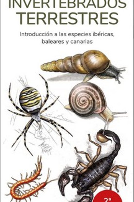 Invertebrados Terrestres - Guias Desplegables Tundra