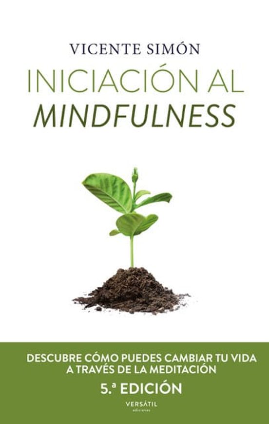 Iniciacón Al Mindfulness