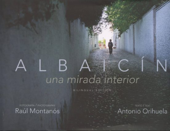 Albaicin: Una Mirada Interior = The Albaicin An Intimate View