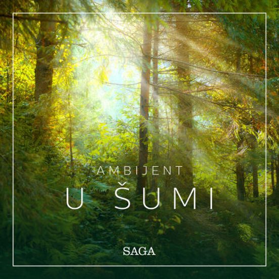 Ambijent - U Šumi