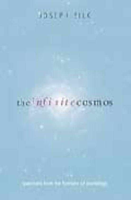 Infinite Cosmos
