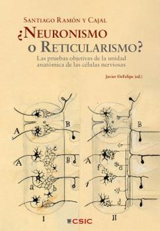 ¿Neuronismo O Reticularismo?
