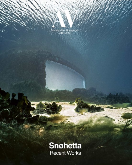 Av Monografias Nº 246