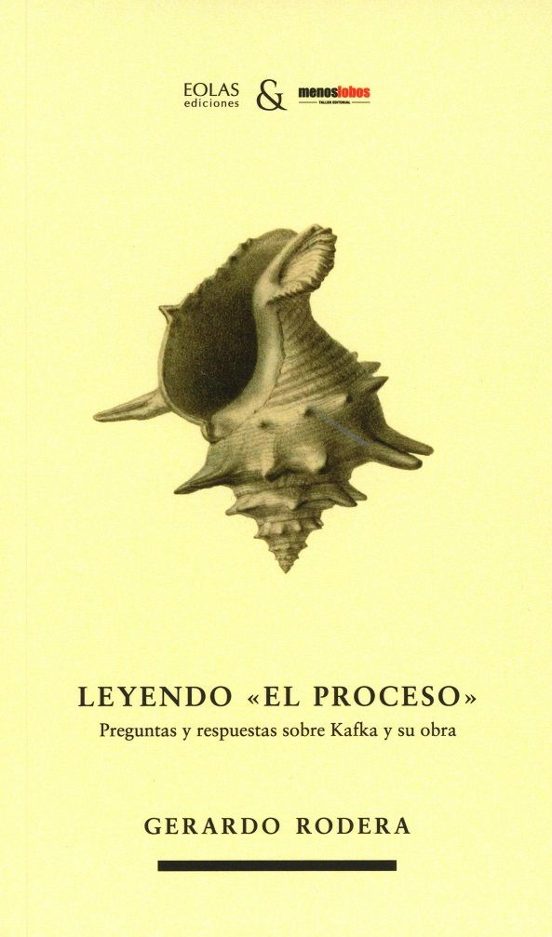Leyendo El Proceso. Preguntas Y Respuestas Sobre Kafka Y Su Obra