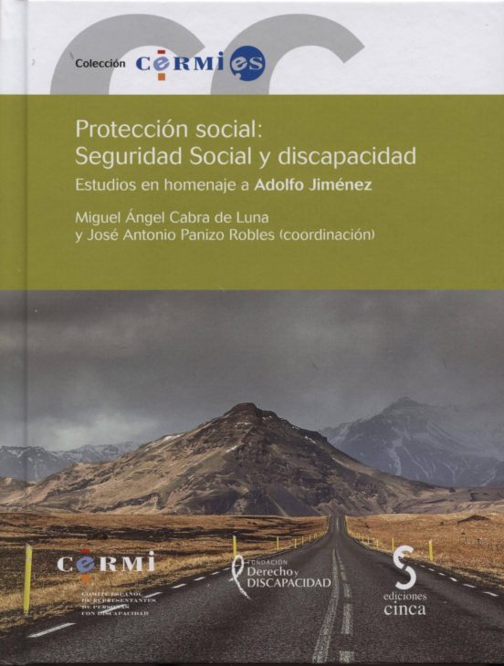 Protección Social: Seguridad Social Y Discapacidad
