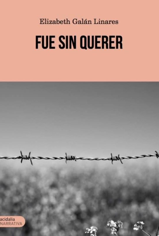 Fue Sin Querer