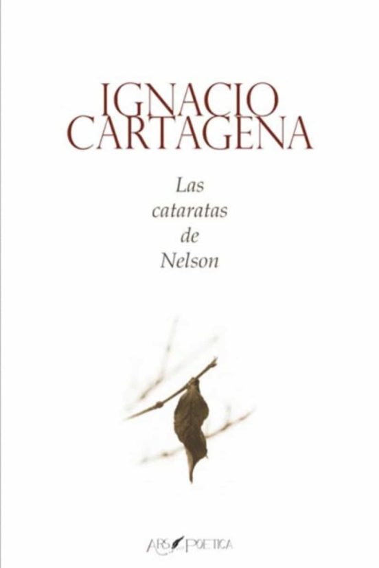Las Cataratas De Nelson