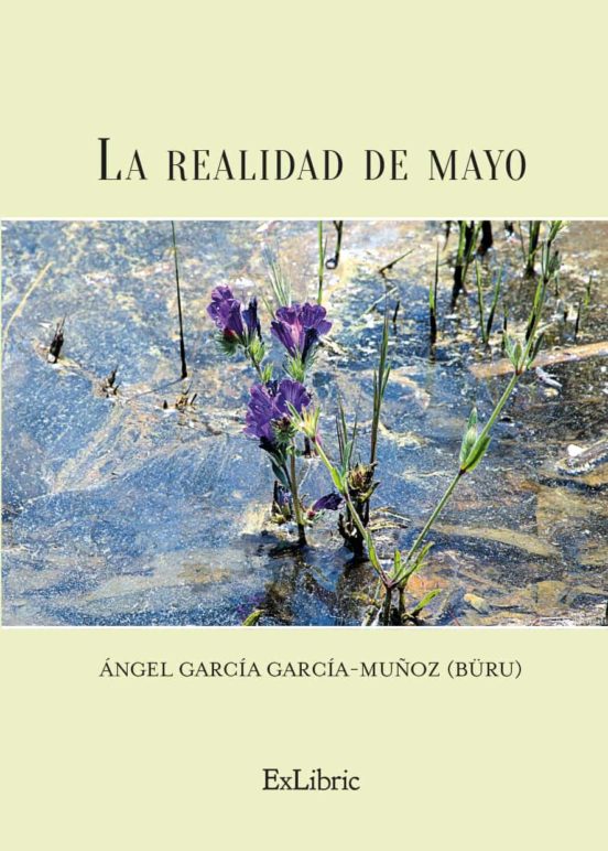 La Realidad De Mayo