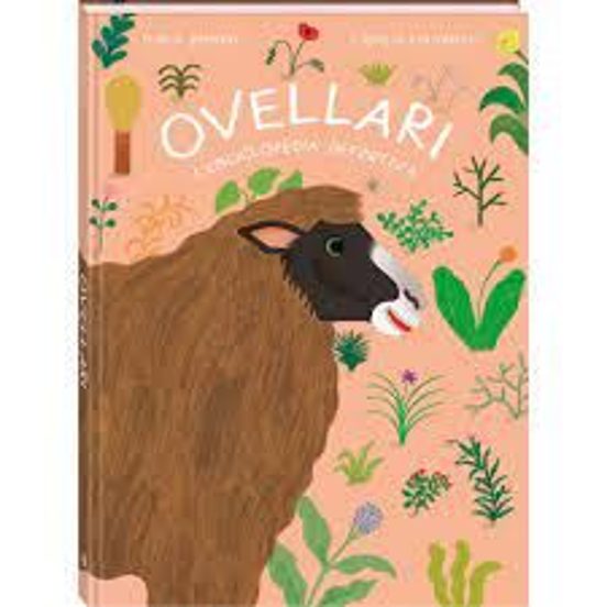 Ovellari