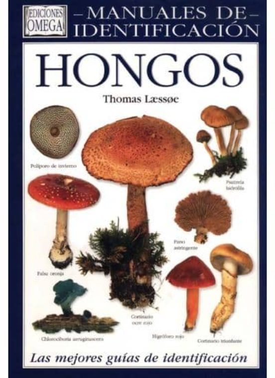Hongos: Manual de Indentificacion