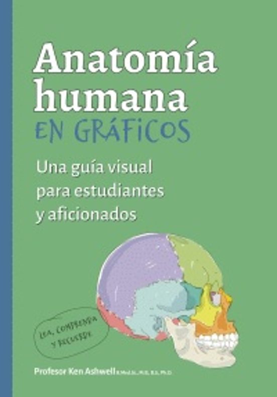 Anatomía Humana En Gráficos