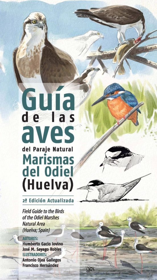 Guia De Las Aves Del Paraje Natural Marismas Del Odiel