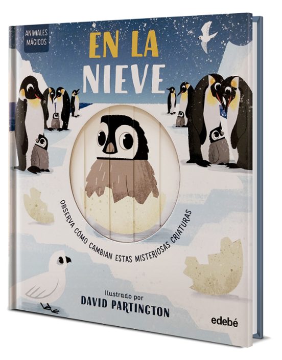 Animales Mágicos. En La Nieve