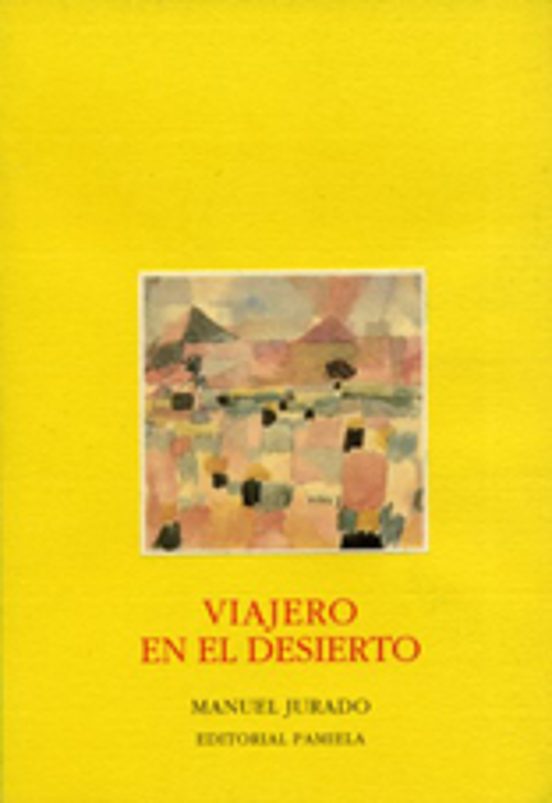 Viajero En El Desierto