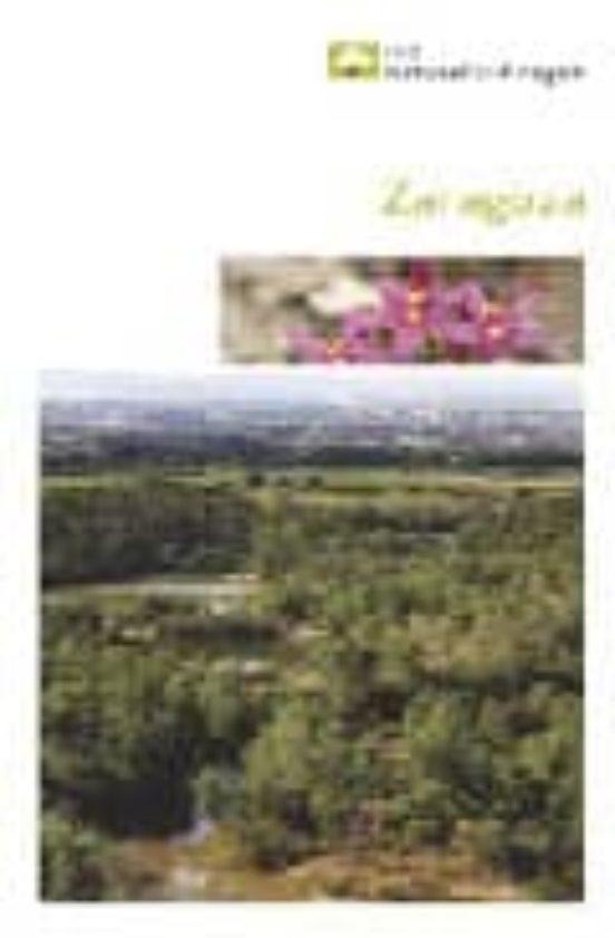 Zaragoza