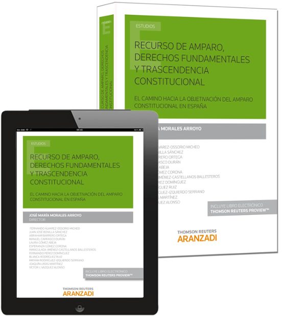 Recurso De Amparo Derechos Fundamentales Y Transcendencia Consti Tucio